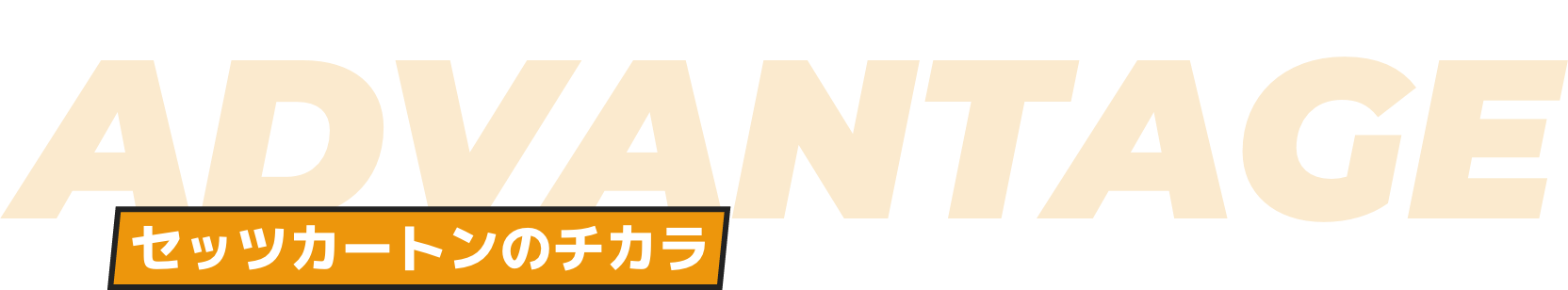 ADVANTAGE セッツカートンのチカラ